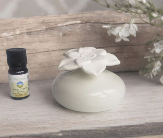 Diffuseur par capillarité narcisse blanc