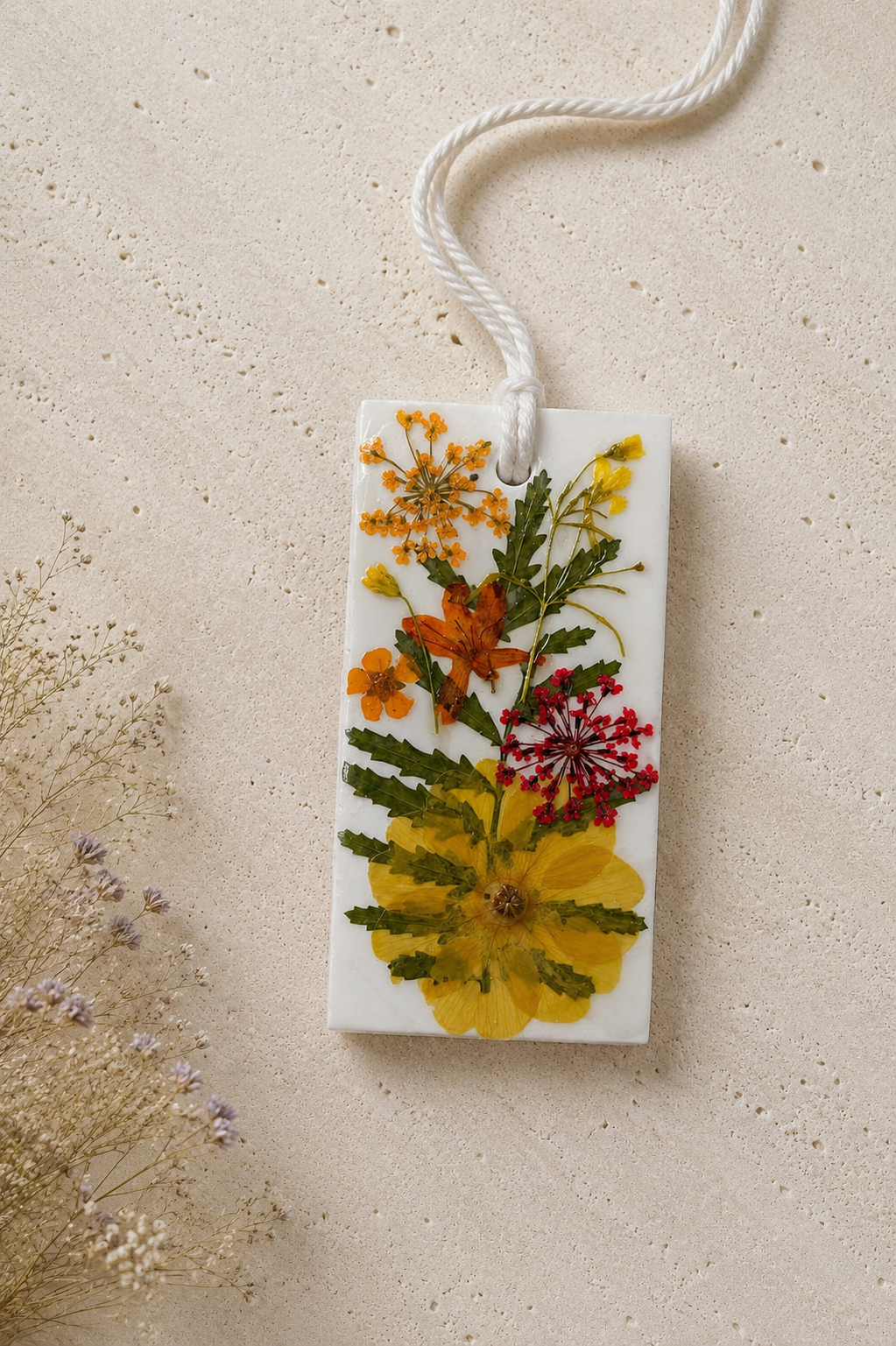 Grande Cueillette — Plaque Herbier "Soleil Sauvage"